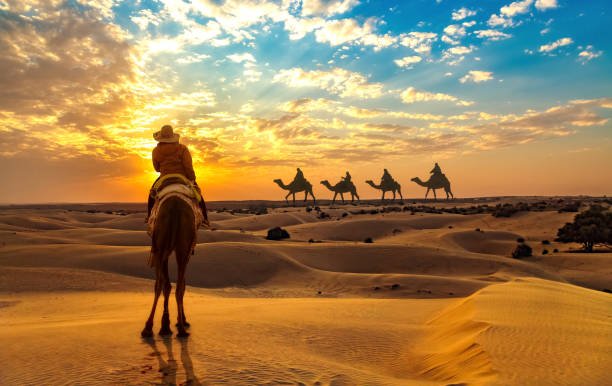 Desert Safari Tour